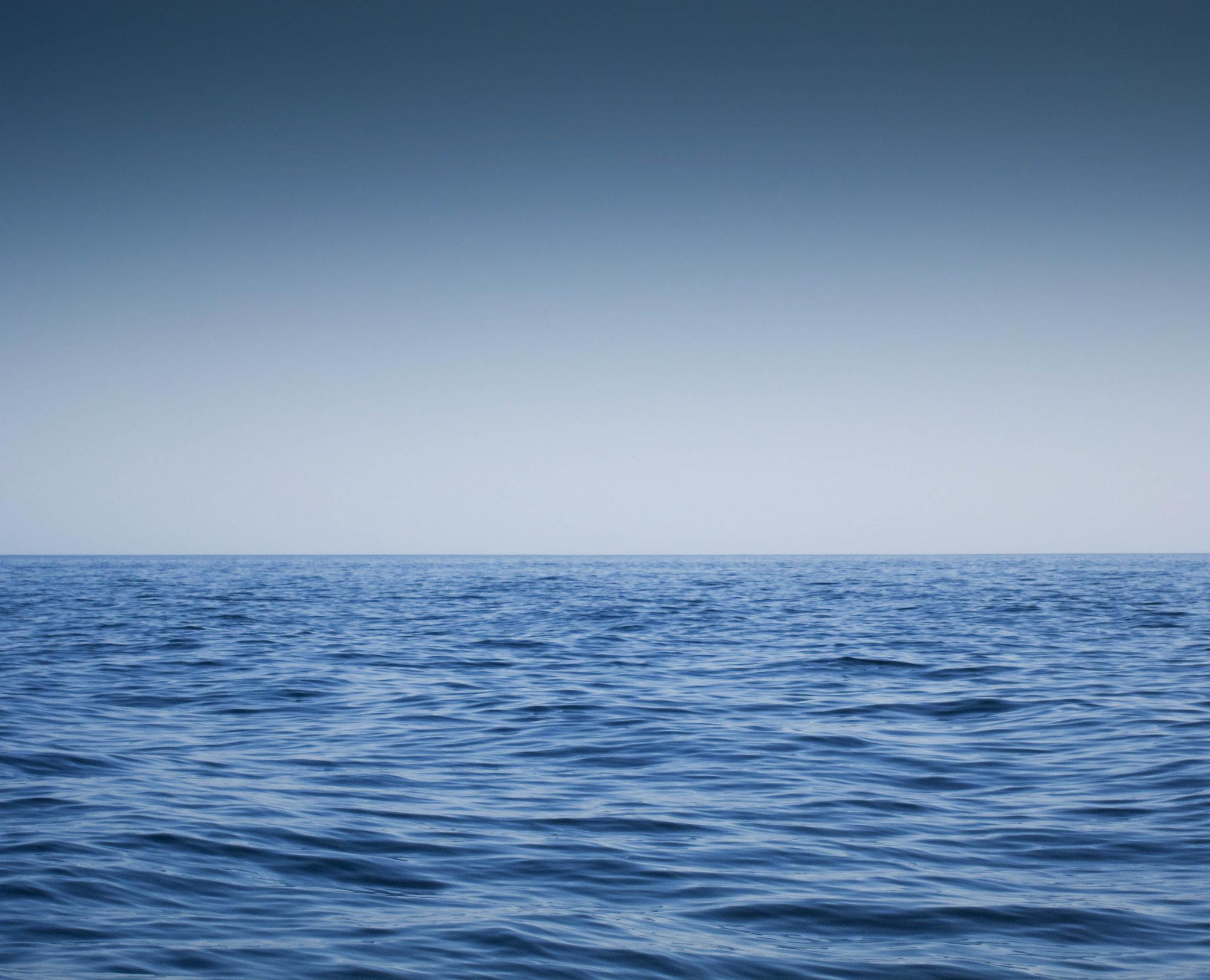 Pulci di mare, il punto della situazione