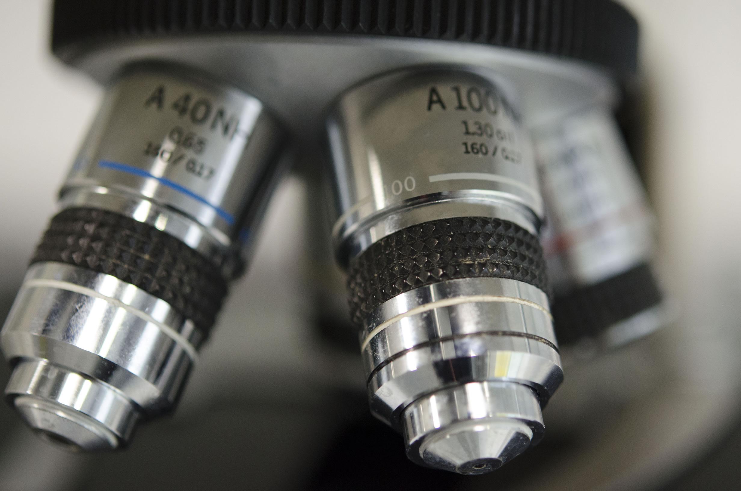 Dermatite atopica: caratterizzare gli endotipi per passare alla medicina di precisione