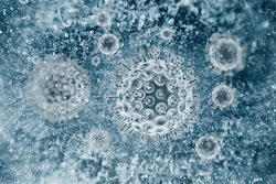 Epatite E, vaccino efficace e duraturo