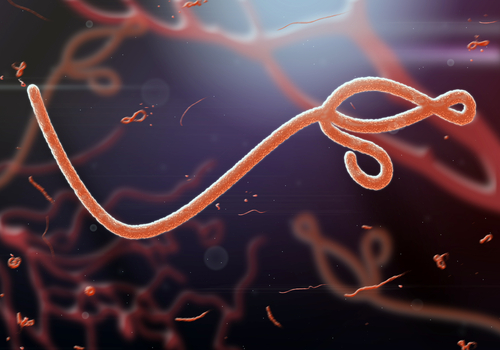 Ebola più mortale nei bambini