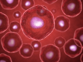 Leucemia promielocitica recidivante, l’importanza del triossido di arsenico