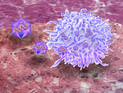 Progressione rapida verso l’aids, identificato un nuovo ceppo responsabile