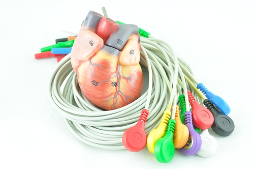 Troponina T e BNP, utili per predire la prognosi in pazienti in lista per la CRT