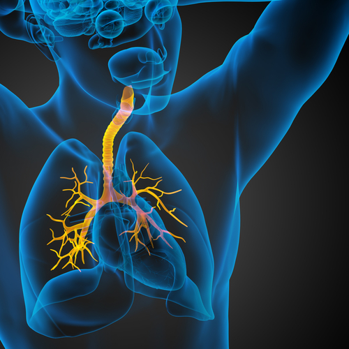 Roflumilast, efficace contro le riacutizzazioni della BPCO