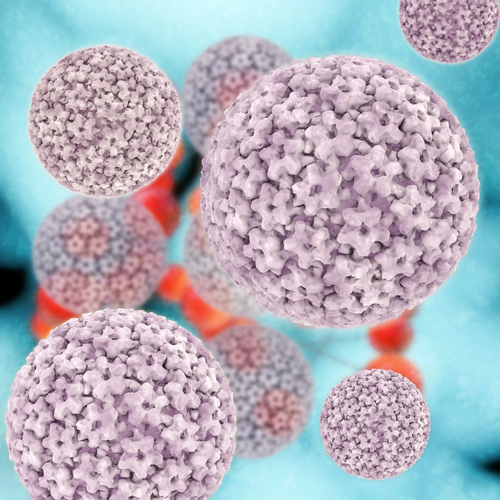 Hpv: vaccinazione meno frequente nelle donne omosessuali