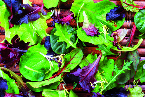 Dieta e malattie infiammatorie intestinali: quali correlazioni