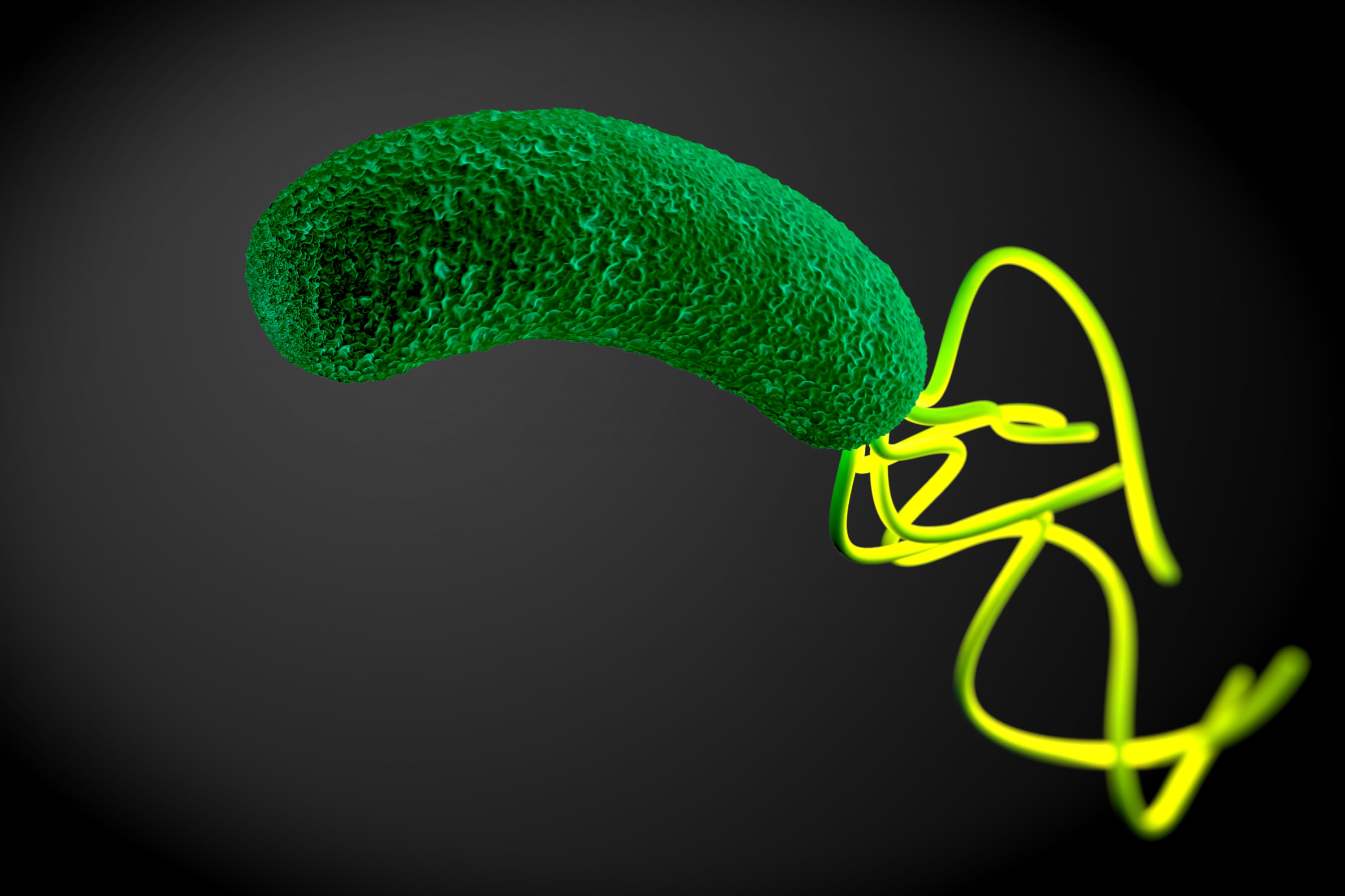 Mantenimento dell’eradicazione dell’Helicobacter pylori come prevenzione del cancro gastrico