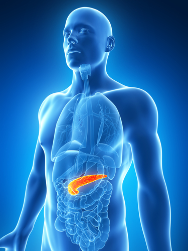 Tumori pancreatici: mutazione genica indica prognosi infausta