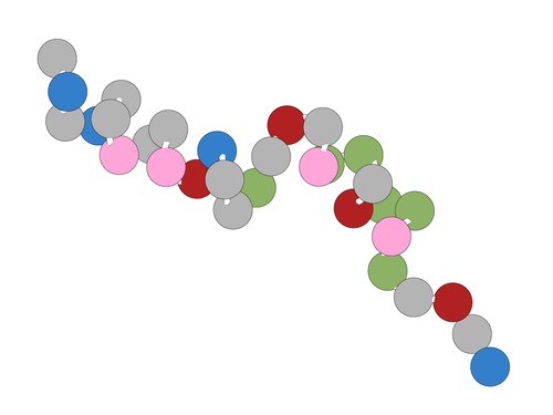 Insufficienza cardiaca: liraglutide non migliora stabilità clinica