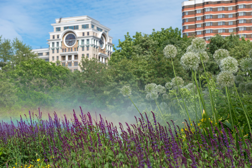 Pollini allergenici e loro monitoraggio mediante aerobiologia e fenologia