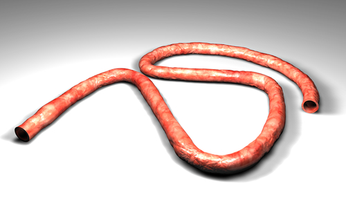 Sangue cordonale. Crescono le donazioni +6,3%, ma i livelli pre-Covid sono lontani