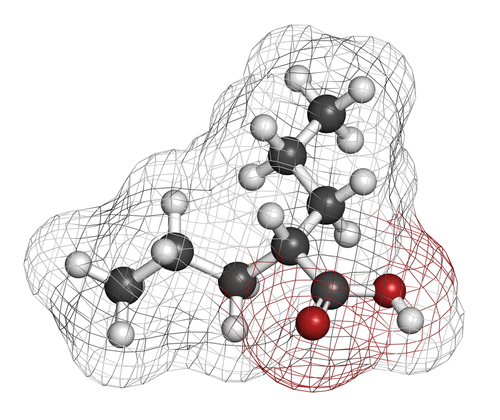 Acido valproico e disordine bipolare: protezione acuta da mortalità per shock emorragico