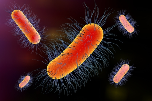 Sepsi e shock settico: nuovi criteri per la diagnosi