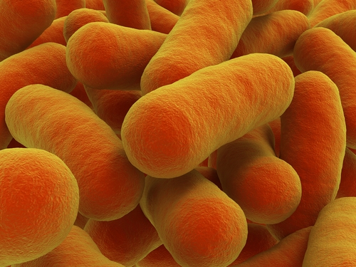 Superbatteri: sempre meno chance per gli antibiotici