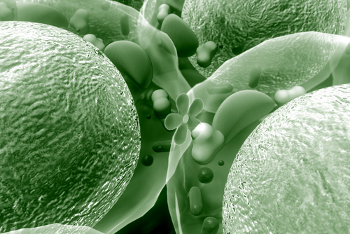 Diabete: attivazione piastrinica post-prandiale connessa ad insulina