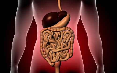 Malattie digestive: seconda causa di ricovero in Italia