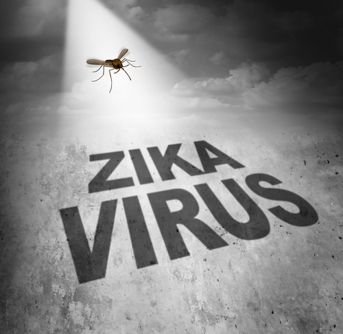 Zika: ancora un’allerta dall’OMS