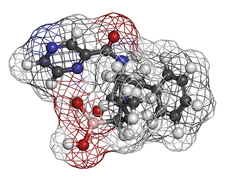 MM: bortezomib, talidomide e lenalidomide hanno realmente cambiato gli esiti?