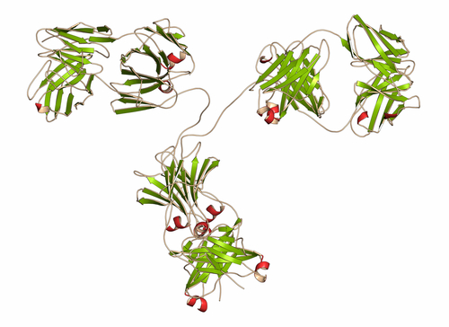 Malattie infiammatorie intestinali: inutile terapia sequenziale