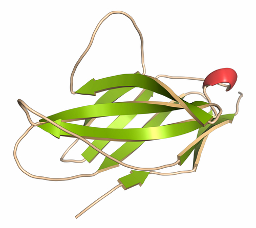 Melanoma avanzato: sottostimati benefici del pembrolizumab?