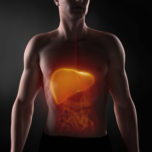 Trombosi della vena porta da cirrosi epatica: impatto del fattore VIII e del rapporto FVIII/PC