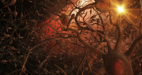 Agente Arancio: un possibile ruolo nello sviluppo di malattie neurodegenerative