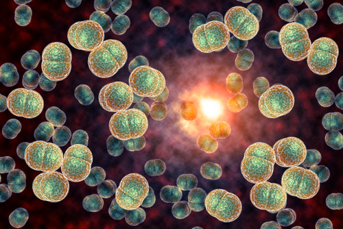 Vaccino MenABCWY offre copertura estesa contro cinque sierogruppi meningococcici