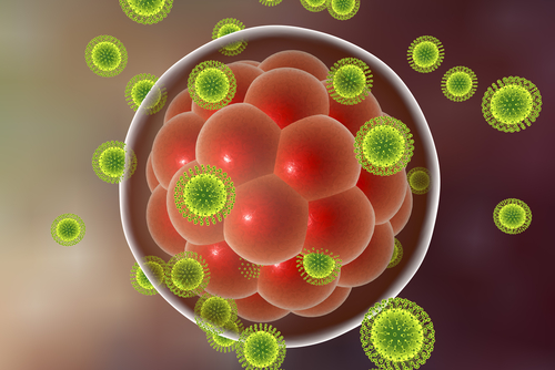 Zika: nulla di nuovo nelle manifestazioni cutanee