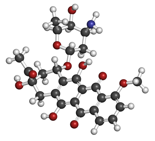 Leucemia mieloide acuta: preferibile daunorubicina ad alte dosi