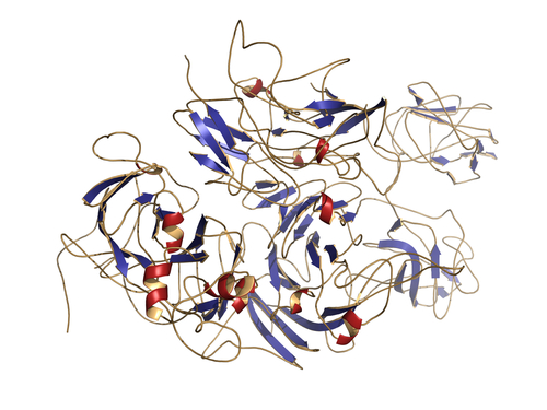 Fattore VIII di derivazione plasmatica meno immunogeno