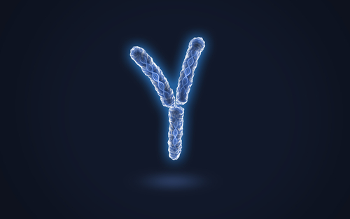 Perdita del cromosoma Y aumenta il rischio cardiovascolare negli uomini