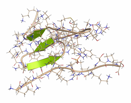Declino cognitivo: livelli plasmatici tau possibile biomarker