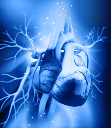 Artrite reumatoide e rischio cardiovascolare