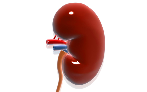Rischio di danno renale acuto: confronto tra vaccinazione e infezione da COVID-19