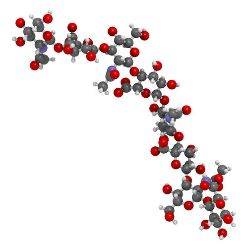 Effetti dell’acido ialuronico sulle neoplasie maligne mammarie aggressive