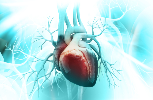 Modello di previsione degli esiti nei pazienti con HFpEF