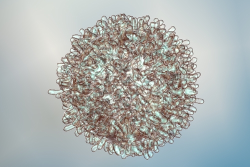 Valenza prognostica dei linfociti B nei melanomi cutanei