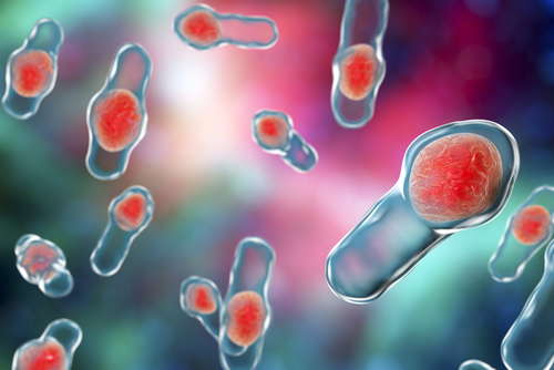 IBD pediatrica, importante valutare la colonizzazione da C. difficile