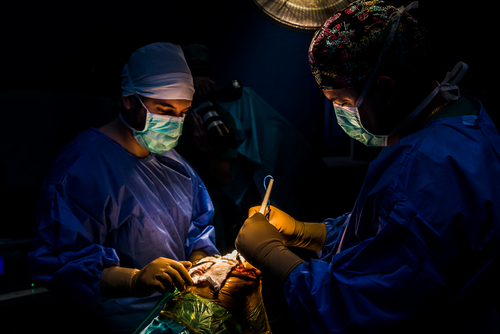 STEMI-PCI: l’orario non influisce più sugli esiti