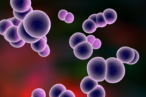 Meningite: vaccinazione e diagnosi corretta le armi per sconfiggerla