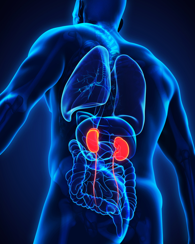 Cistoscopia: un nuovo test per le urine permette di evitarla