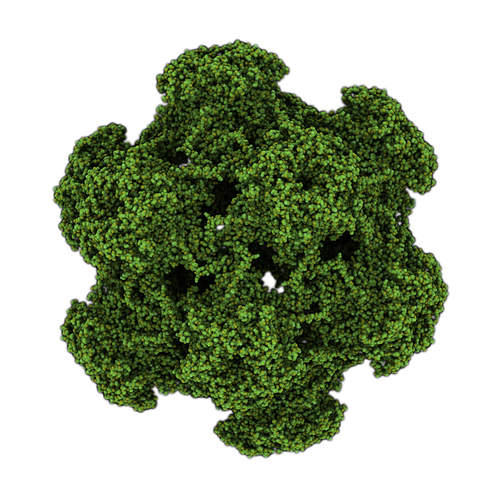 Tumori orofaringei da Hpv: profilazione genica rifinisce la terapia