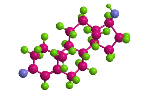 Leucemia mieloide acuta: androgeni migliorano sopravvivenza nell’anziano