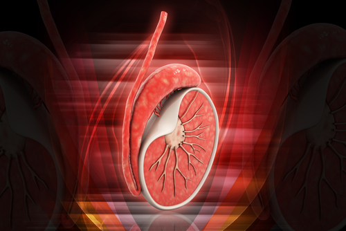 Impiego dell’imaging fotoacustico nella diagnosi della torsione testicolare