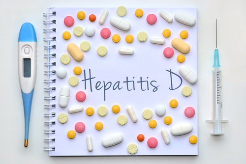 I fattori cellulari coinvolti nel ciclo di vita del virus dell’epatite D