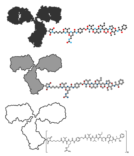 Linfoma di Hodgkin CD30-positivo: efficace brentuximab vedotin