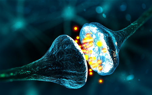 Nell’ipertensione di tipo H la metamemoria è importante per l’aderenza ai farmaci