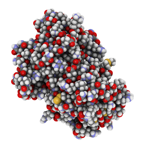 Mieloma: daratumumab migliora sopravvivenza di 4 volta