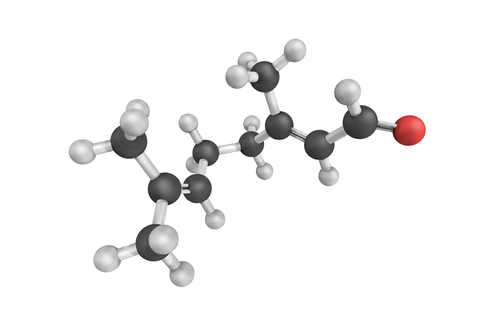 Citotossicità del citrale contro le cellule melanomatose