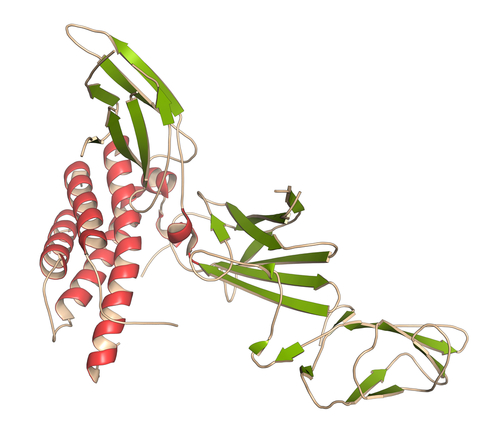 Morbo di Crohn: risankizumab induce remissione clinica